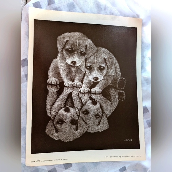 Puppies Reflection Lithographic print Vintage Douglass Dog By Chaplan #407 - Picture 1 of 3